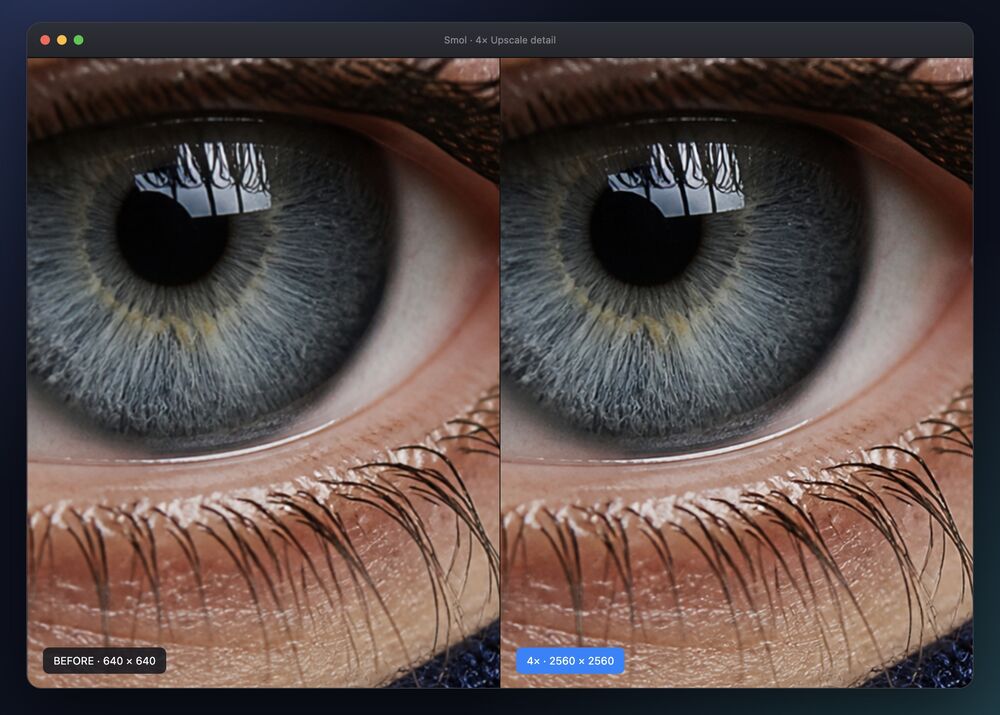 Side-by-side detail crop of an eye upscaled by Smol: the 640 × 640 original next to the 4× result at 2560 × 2560, with individual eyelashes resolved.